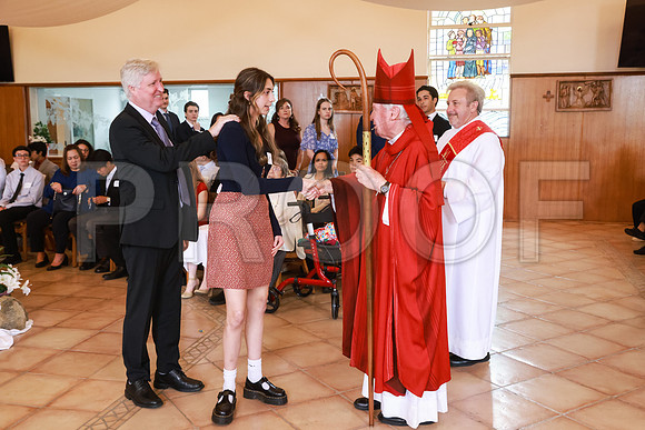 SFXConfirm_8030_04-21-24